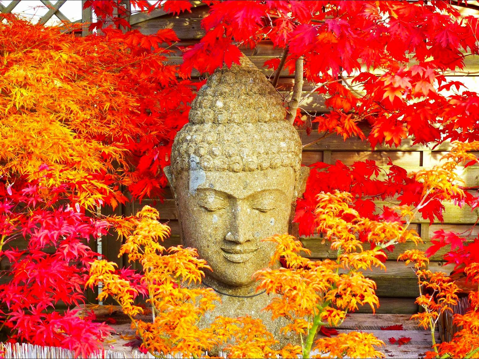 Buddha