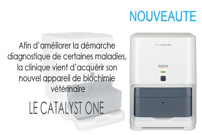 catalystOne-ptt
