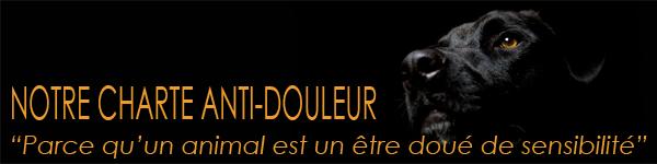 charte douleur 150x600
