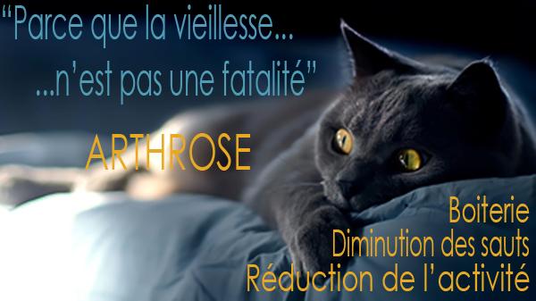 arthrose 600x300
