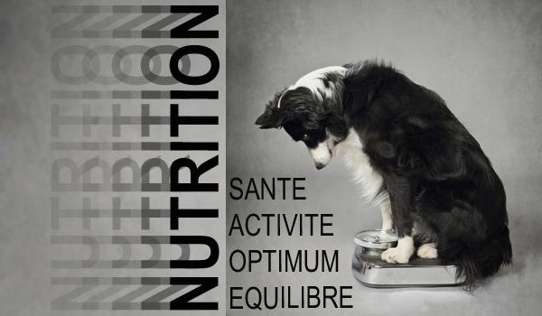 cvb 2016 - nutrition
