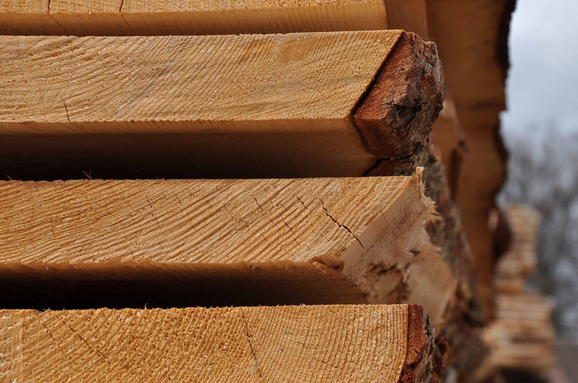 Schreinerei - Muri - R & S Winiger GmbH