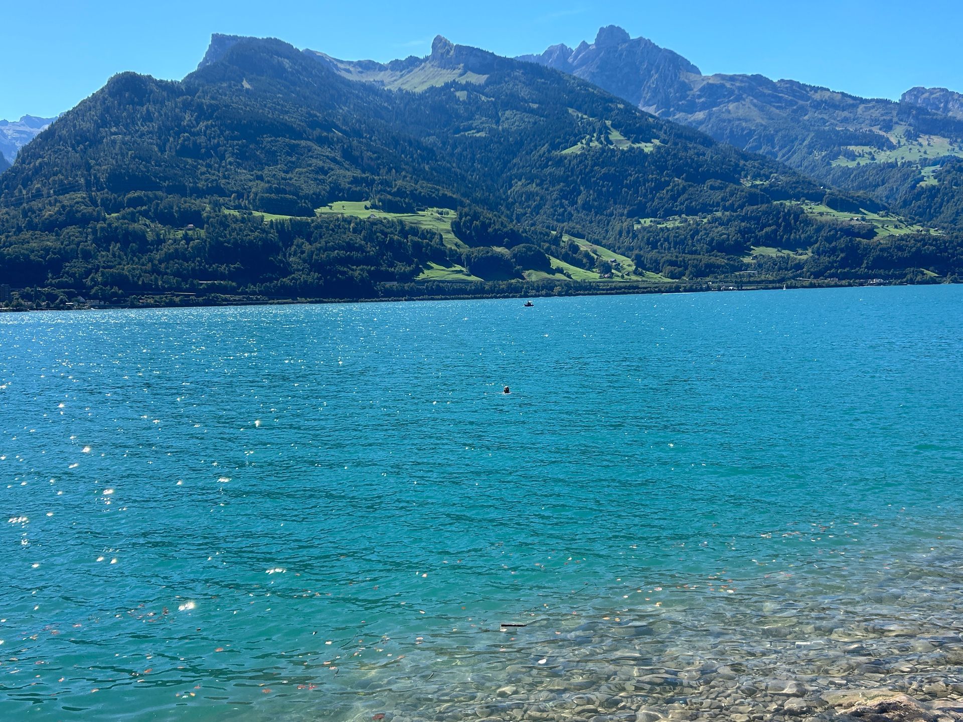 Baden im sauberen Walensee