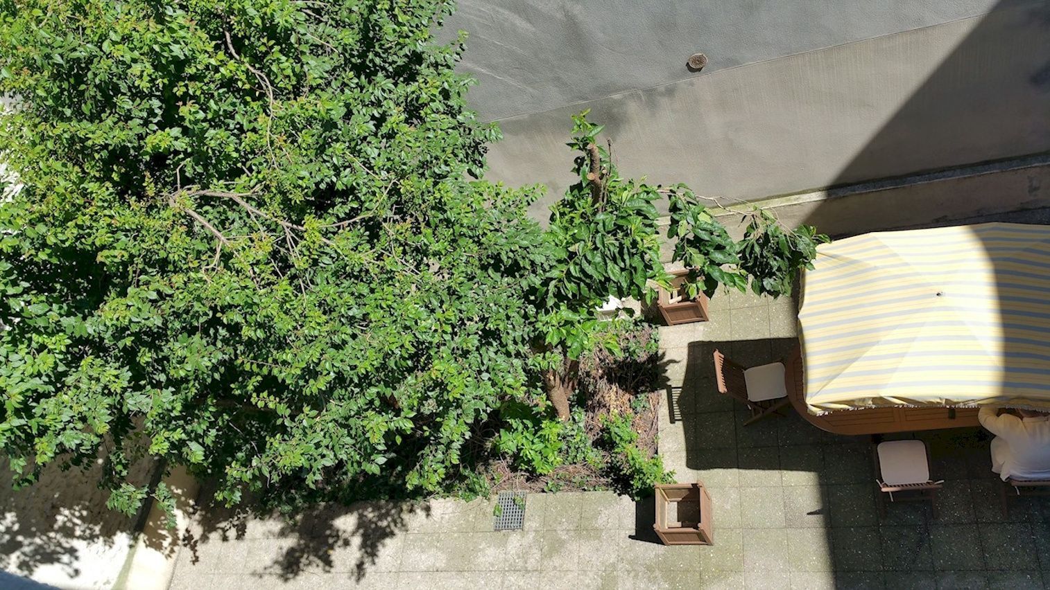 Vu sur la cours exterieure de l'espace de travail