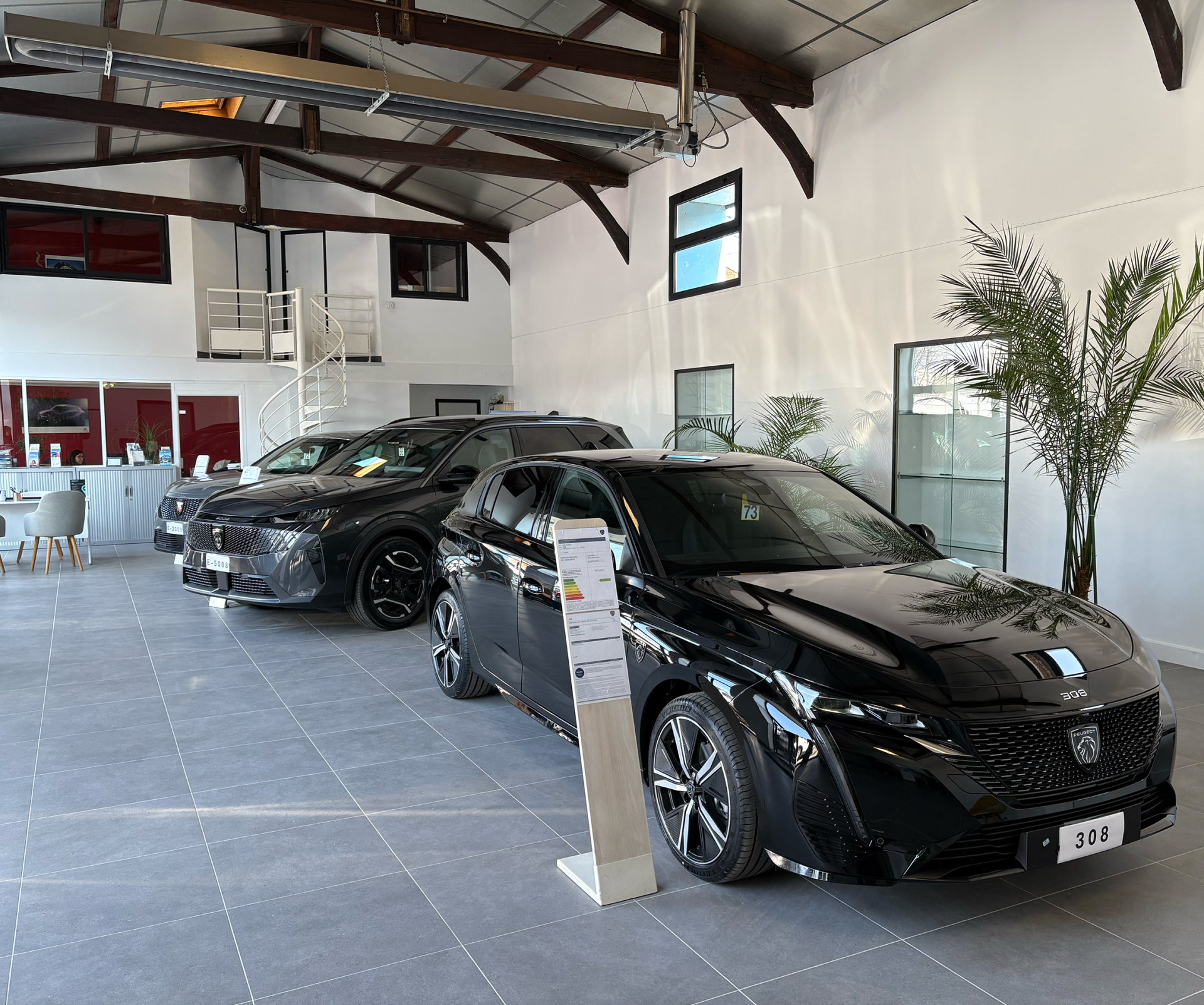 Des voitures noires garées à l'intérieur d'un showroom lumineux.