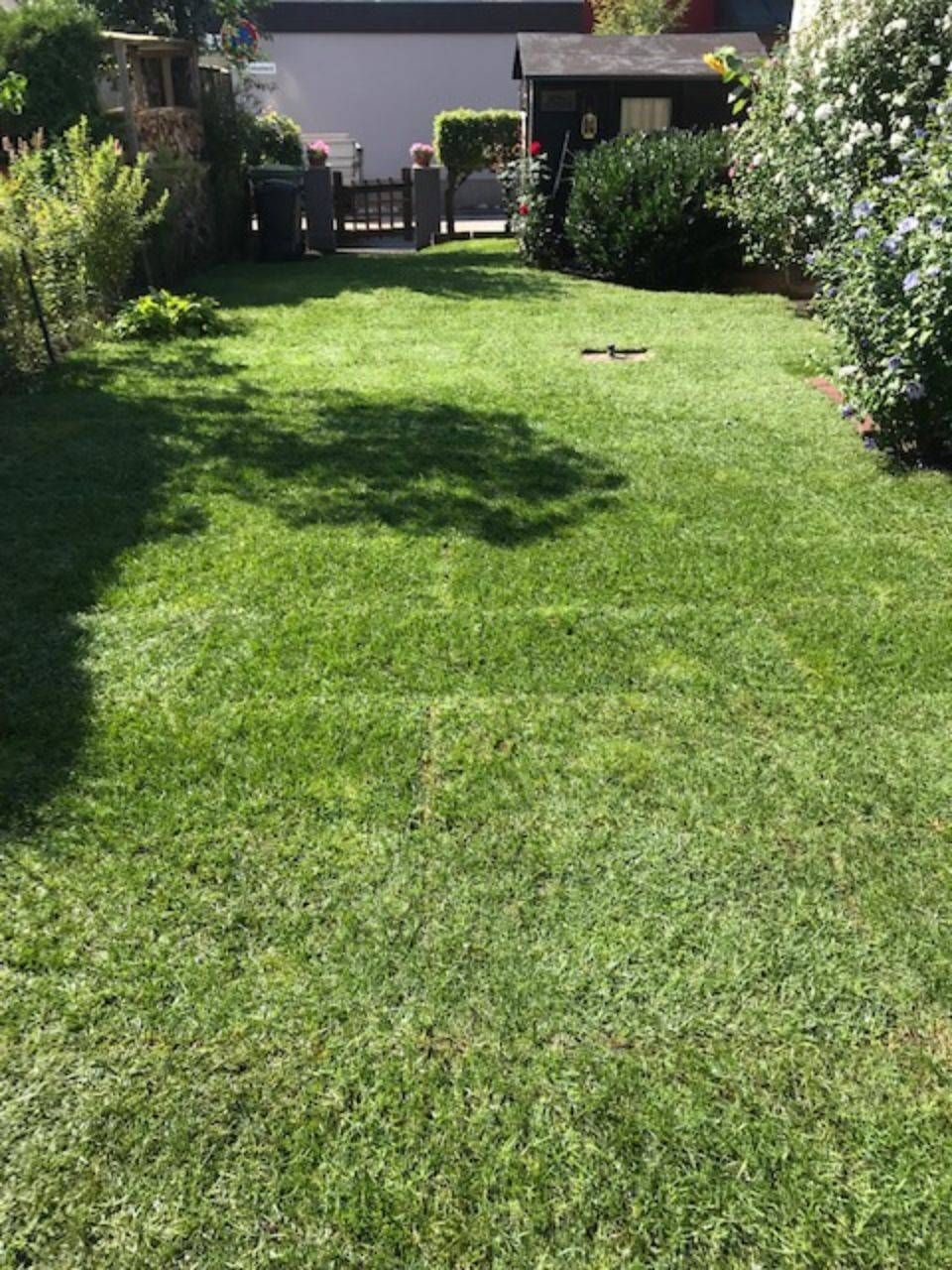 Rasenfläche, angelegt von ÖKo Gartenbau