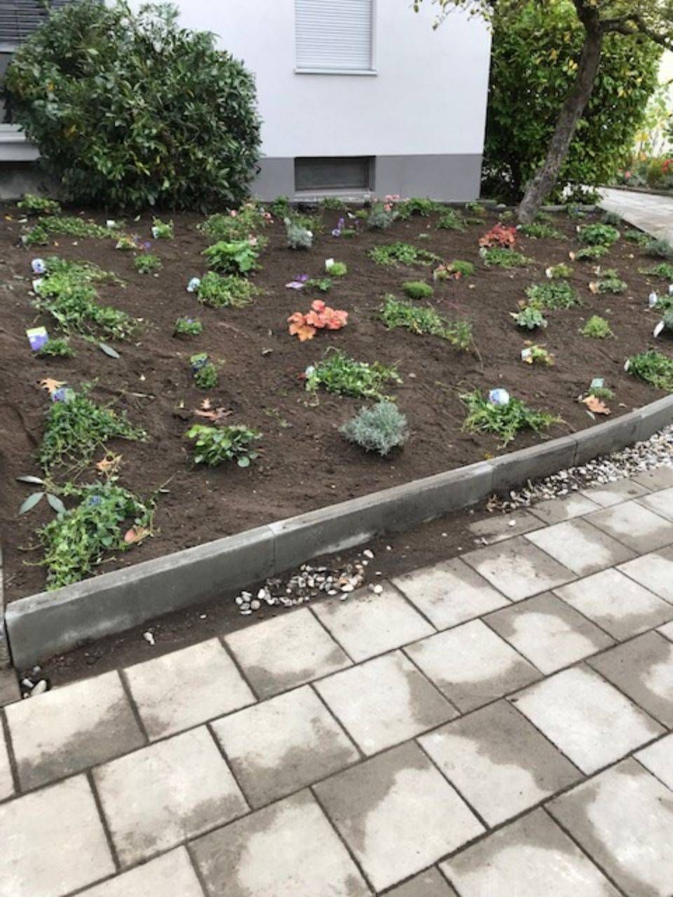 Weg und Beet, angelegt von ÖKo Gartenbau