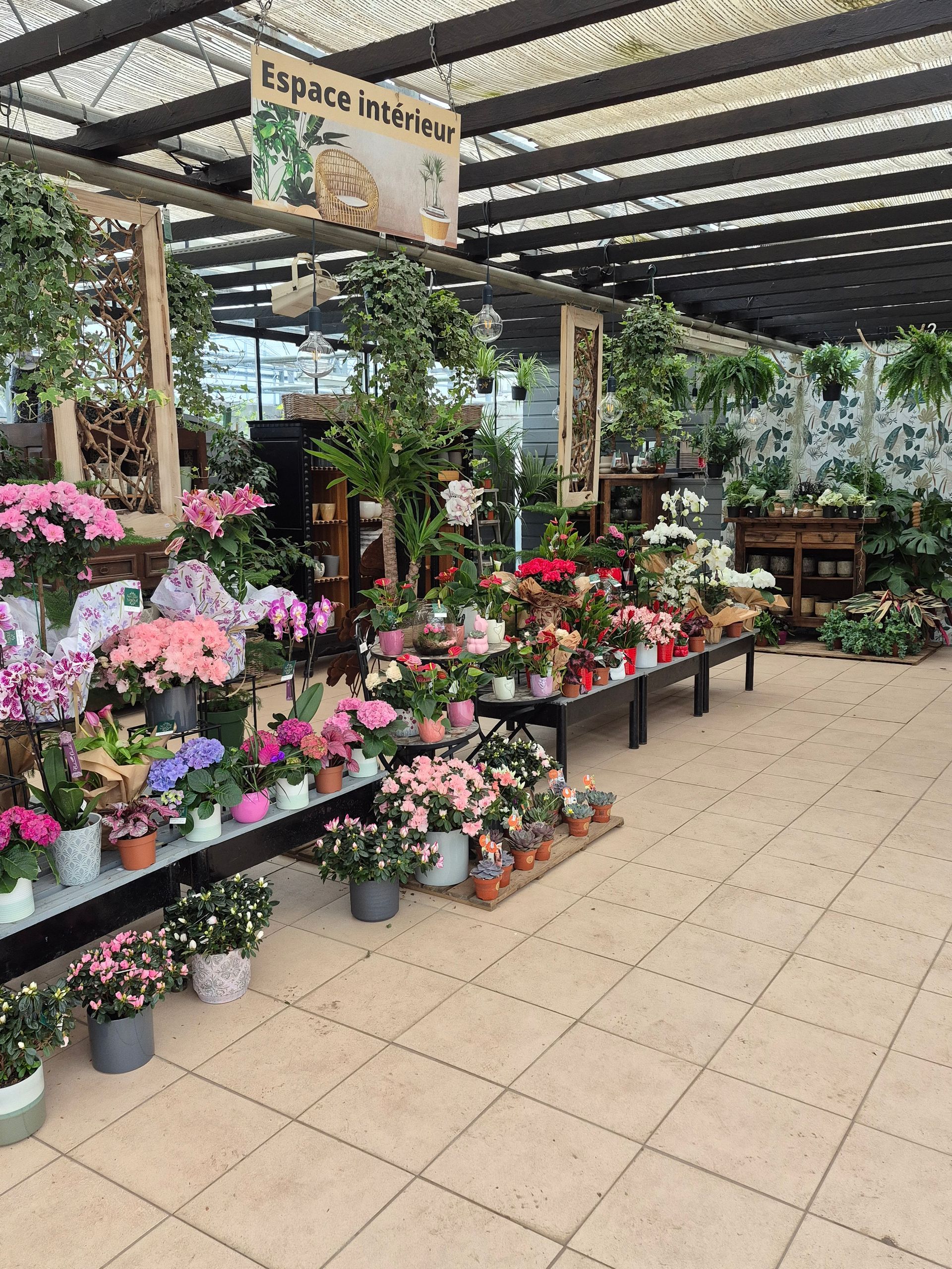 Pépinière intérieure remplie de plantes à fleurs et de verdure variées, disposées sur des tables sous un toit à claire-voie.