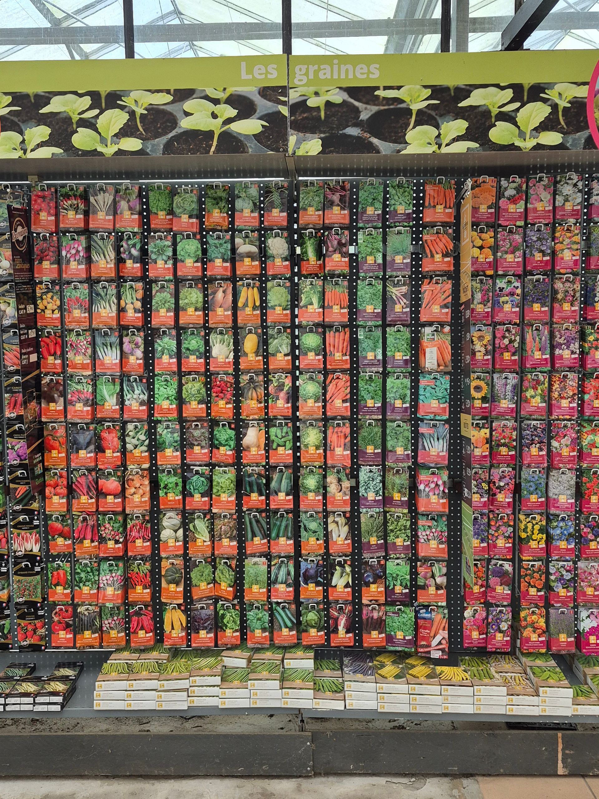 Un grand présentoir de magasin rempli de nombreuses rangées de sachets de graines colorés, surmonté d'une pancarte verte les graines.