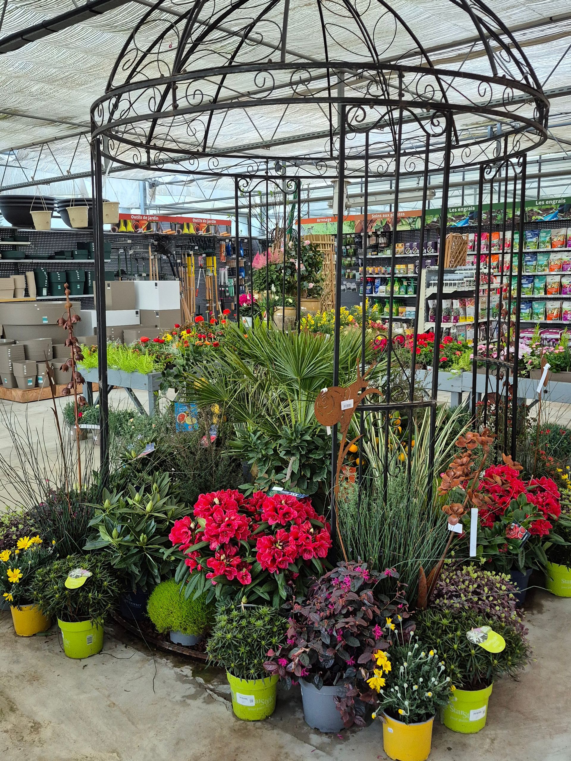 Dans une jardinerie, une structure métallique de kiosque à fleurs met en valeur un assortiment de plantes en pot au feuillage rouge et vert.