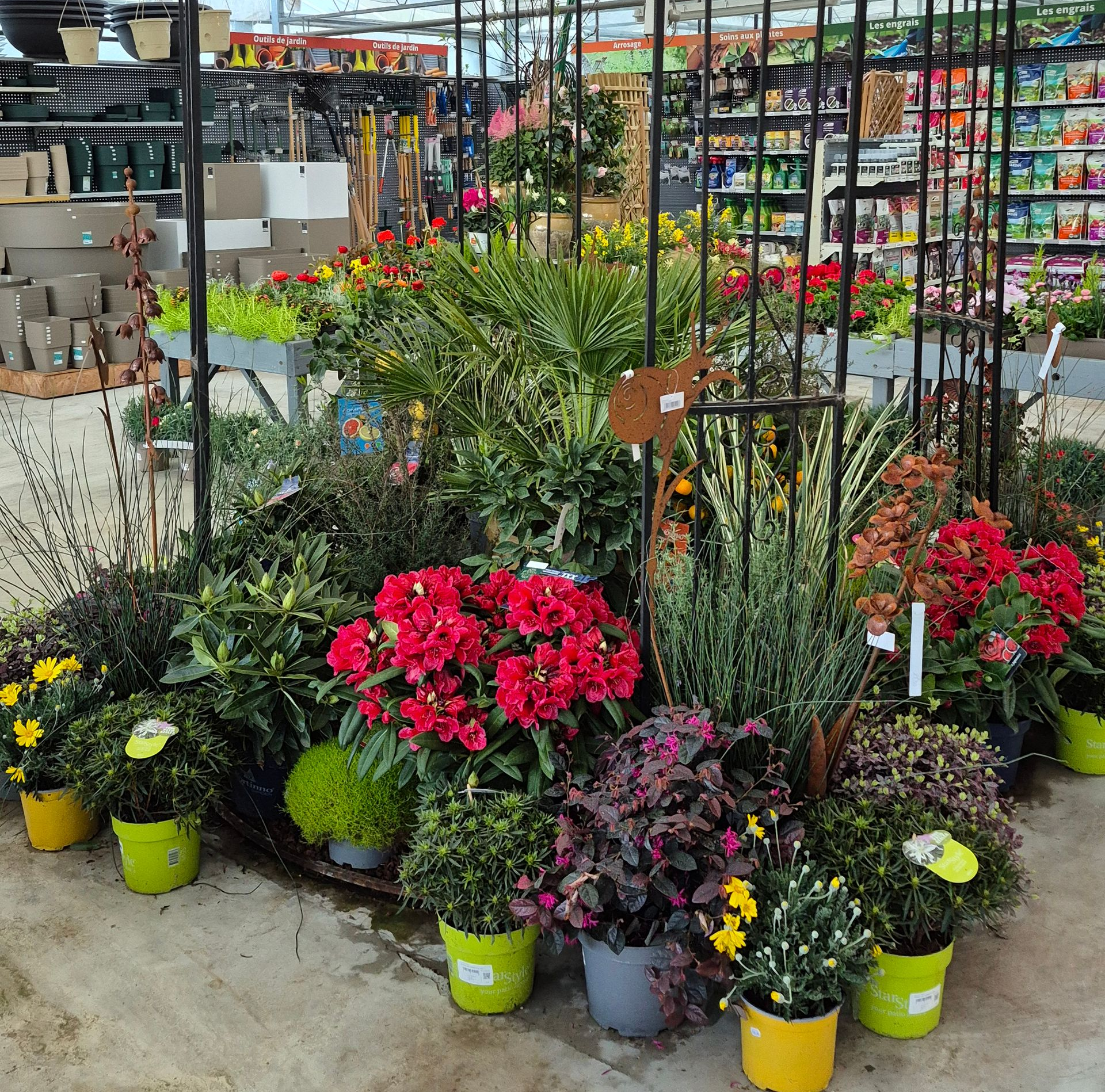 Une variété de fleurs en pot colorées et de plantes vertes sont disposées sur le sol d'une jardinerie, sous un treillis métallique.