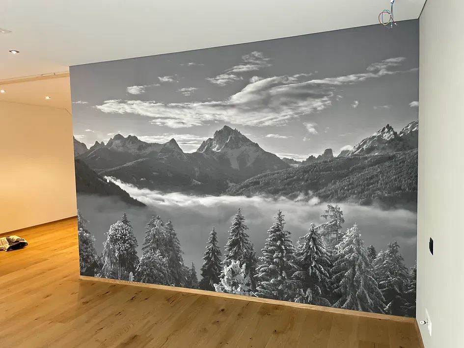 Ein Schwarzweißfoto einer Berglandschaft an einer Wand.