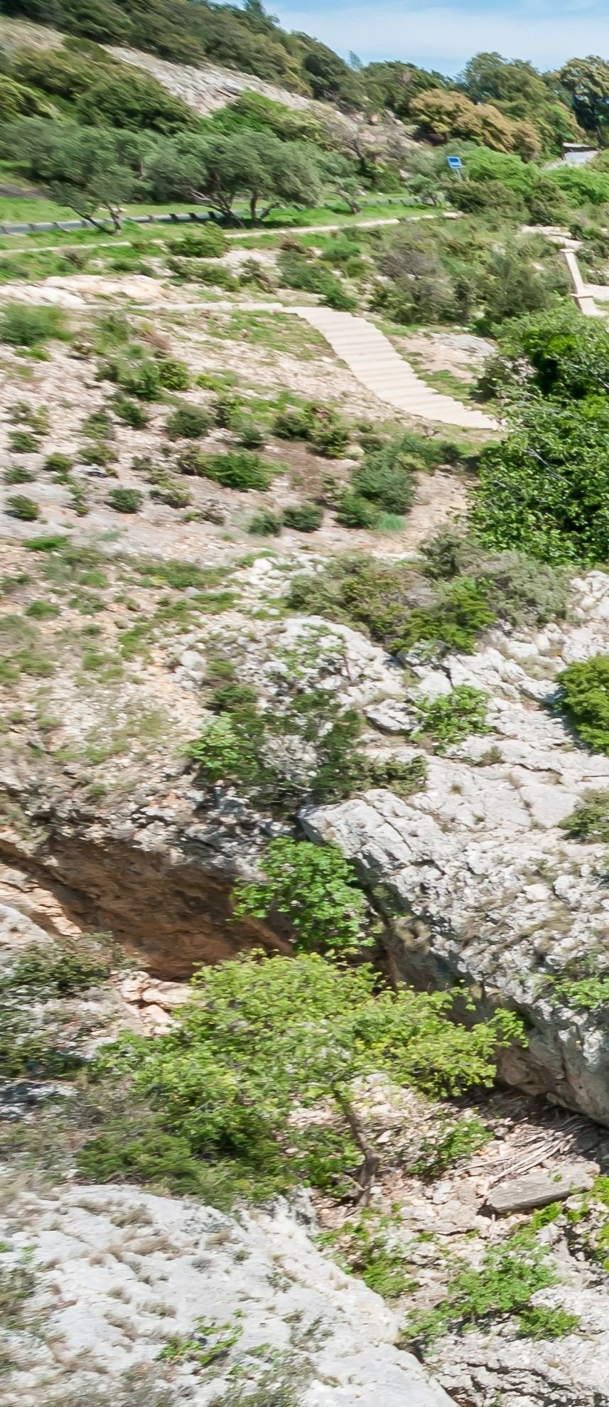 Roche avec quelques arbres