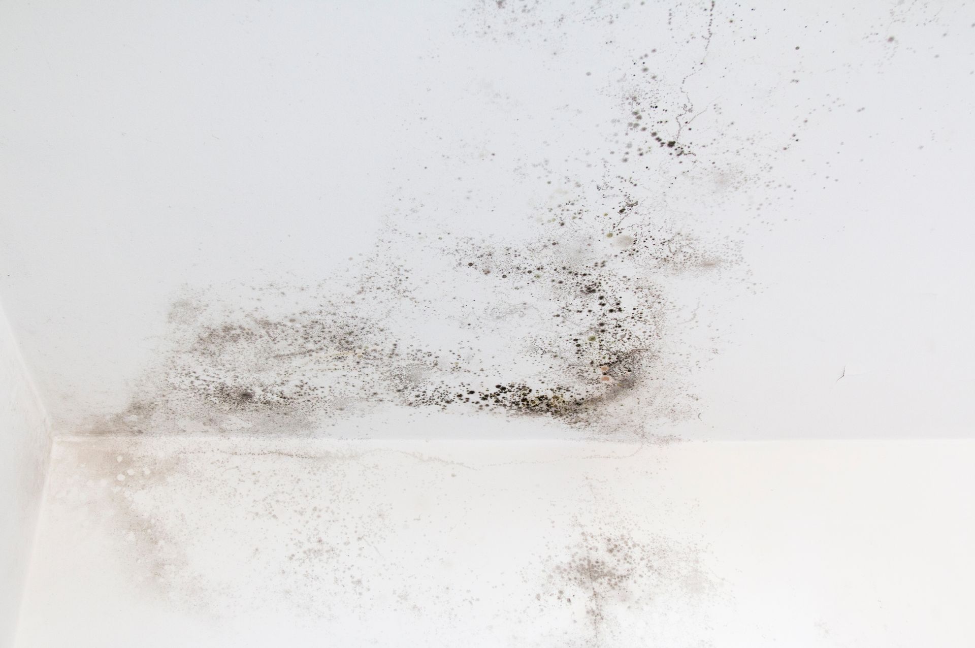 Traces d'humidité au plafond