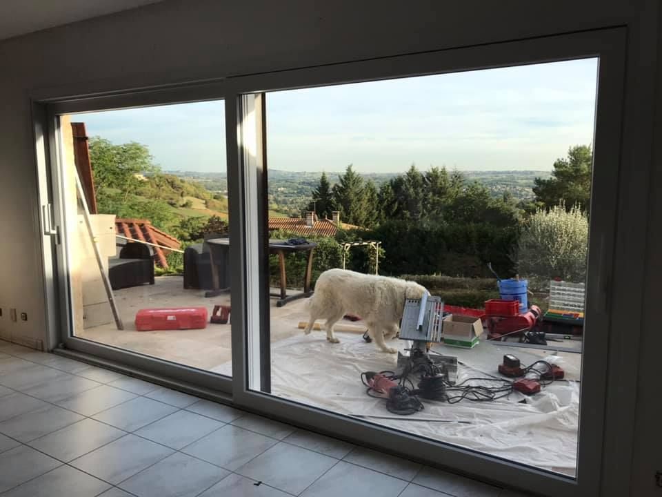 Un chien dehors, derrière une baie vitrée.