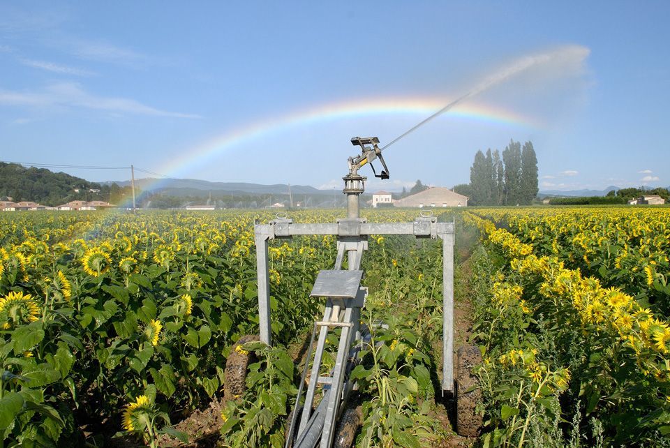 Système d'arrosage automatique