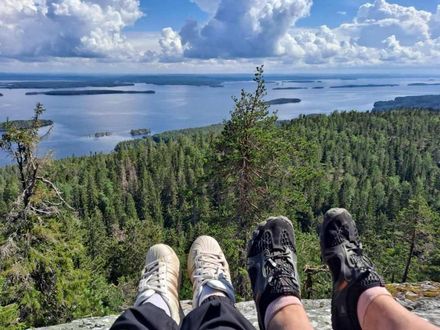 Tuulenpesäkoti