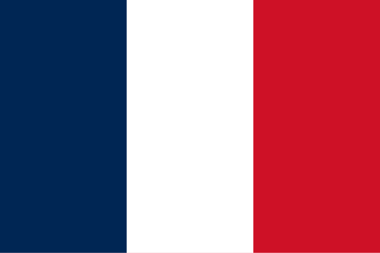 Drapeau français : tricolore vertical bleu, blanc et rouge.