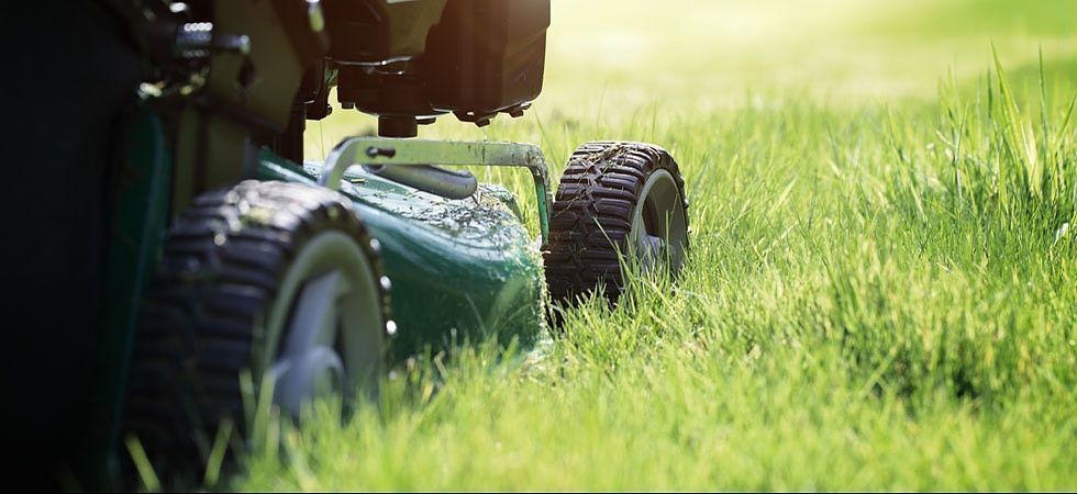 Lendi Gartenbau | Gartenunterhalt | Bilten