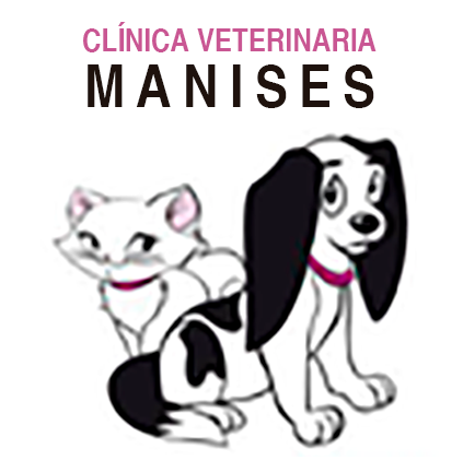 logotipo cabecera