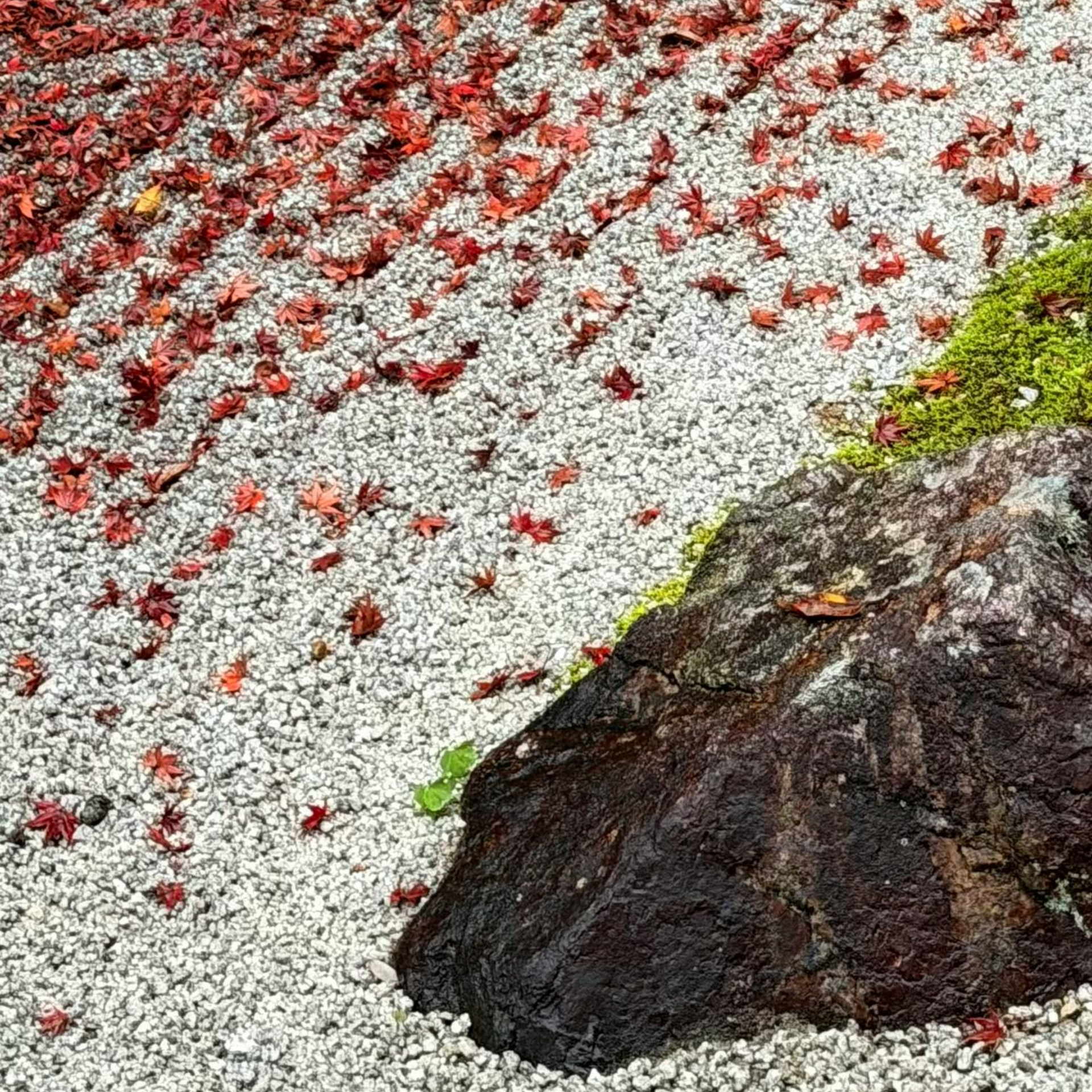 zen garden