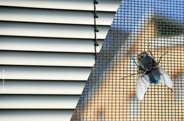 Fußbodentechnik Müller Insekten- und Sonnenschutz