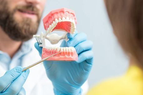 Un dentista sostiene un modelo de los dientes de una persona.