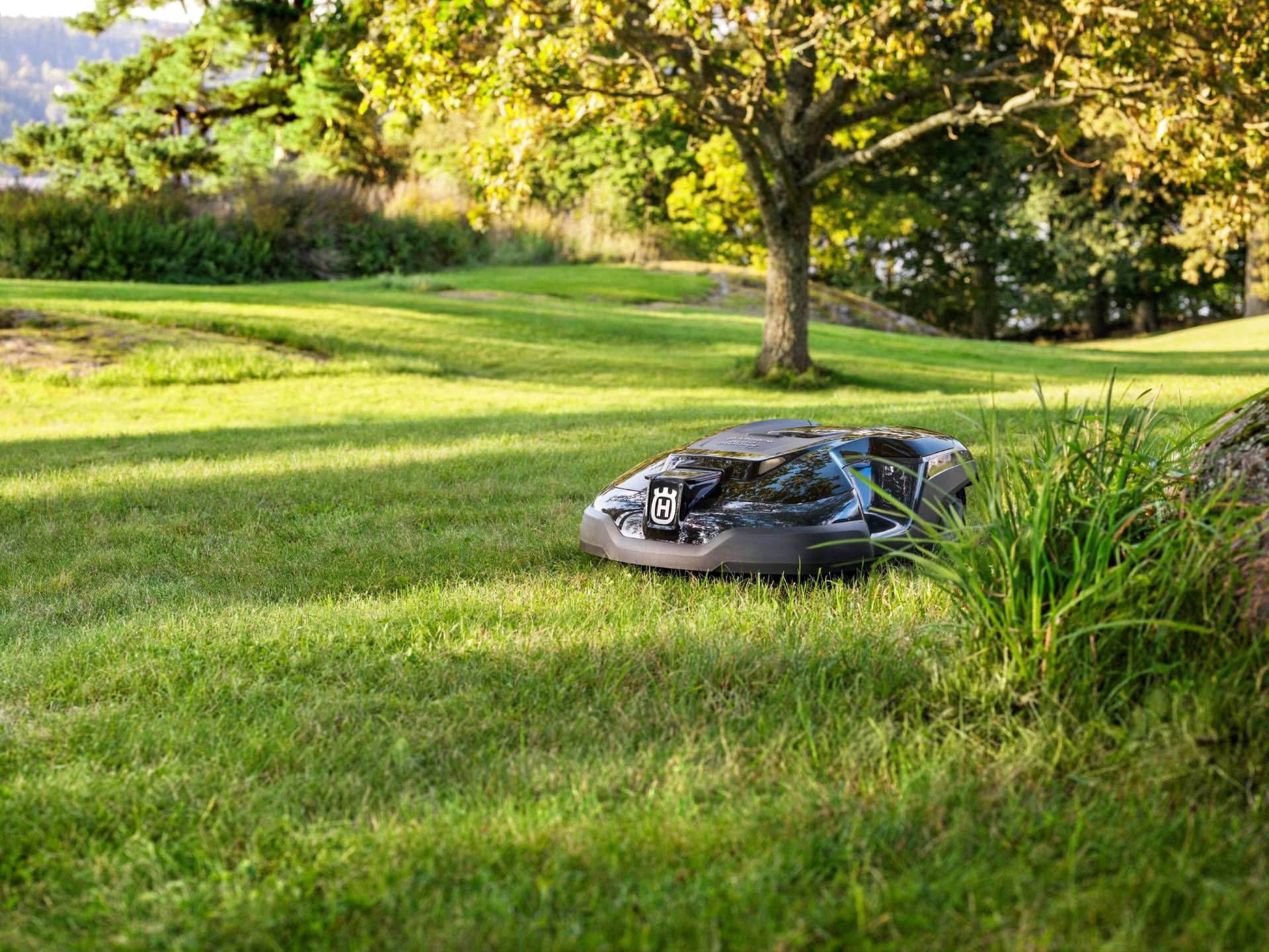 Ein Husqvarna-Mähroboter mäht einen üppigen grünen Rasen
