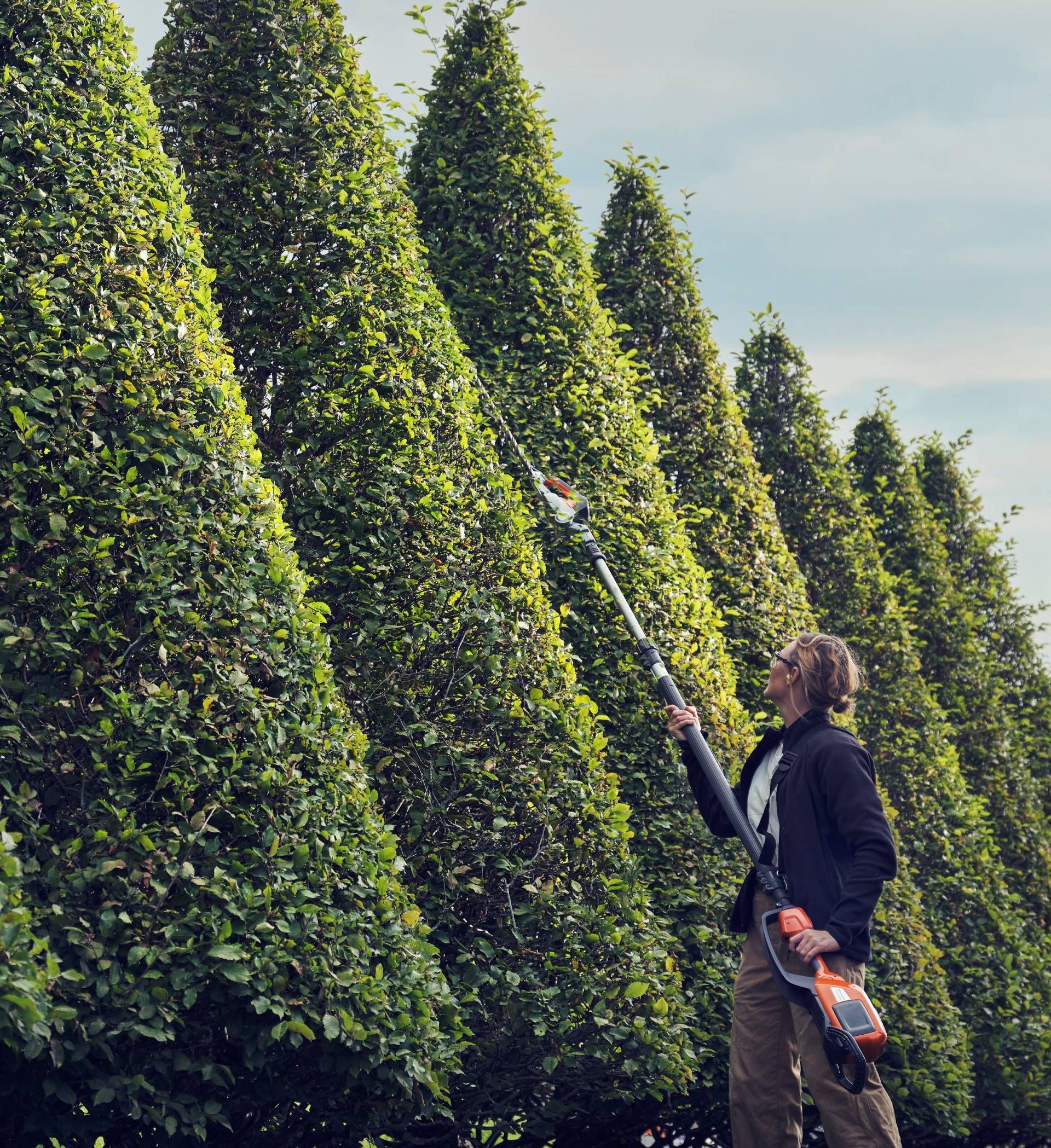 Eine Frau schneidet eine Hecke mit einer elektrischen Heckenschere