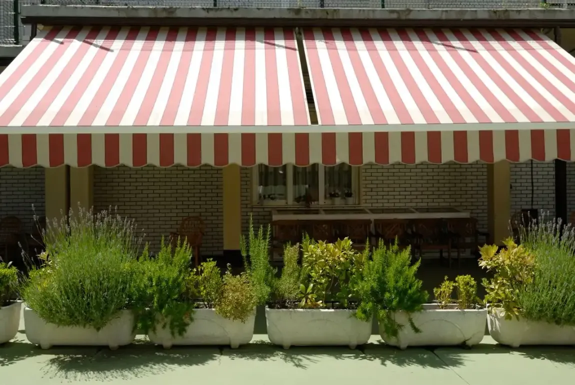 Un toldo de rayas rojas y blancas con jardineras debajo.