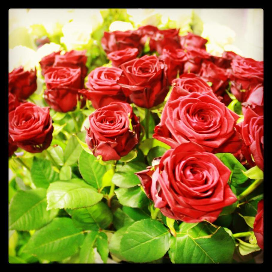 Bouquet de rose par Novafleurs Bouquet de rose par Novafleurs