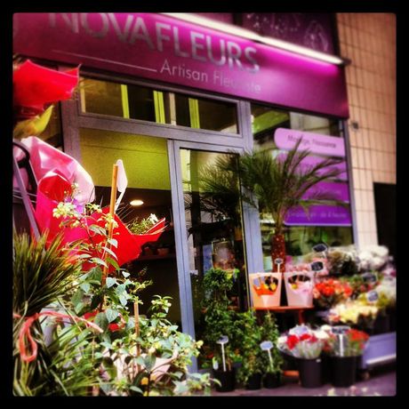 Nova Fleurs, Saint-Denis Nova Fleurs, Saint-Denis