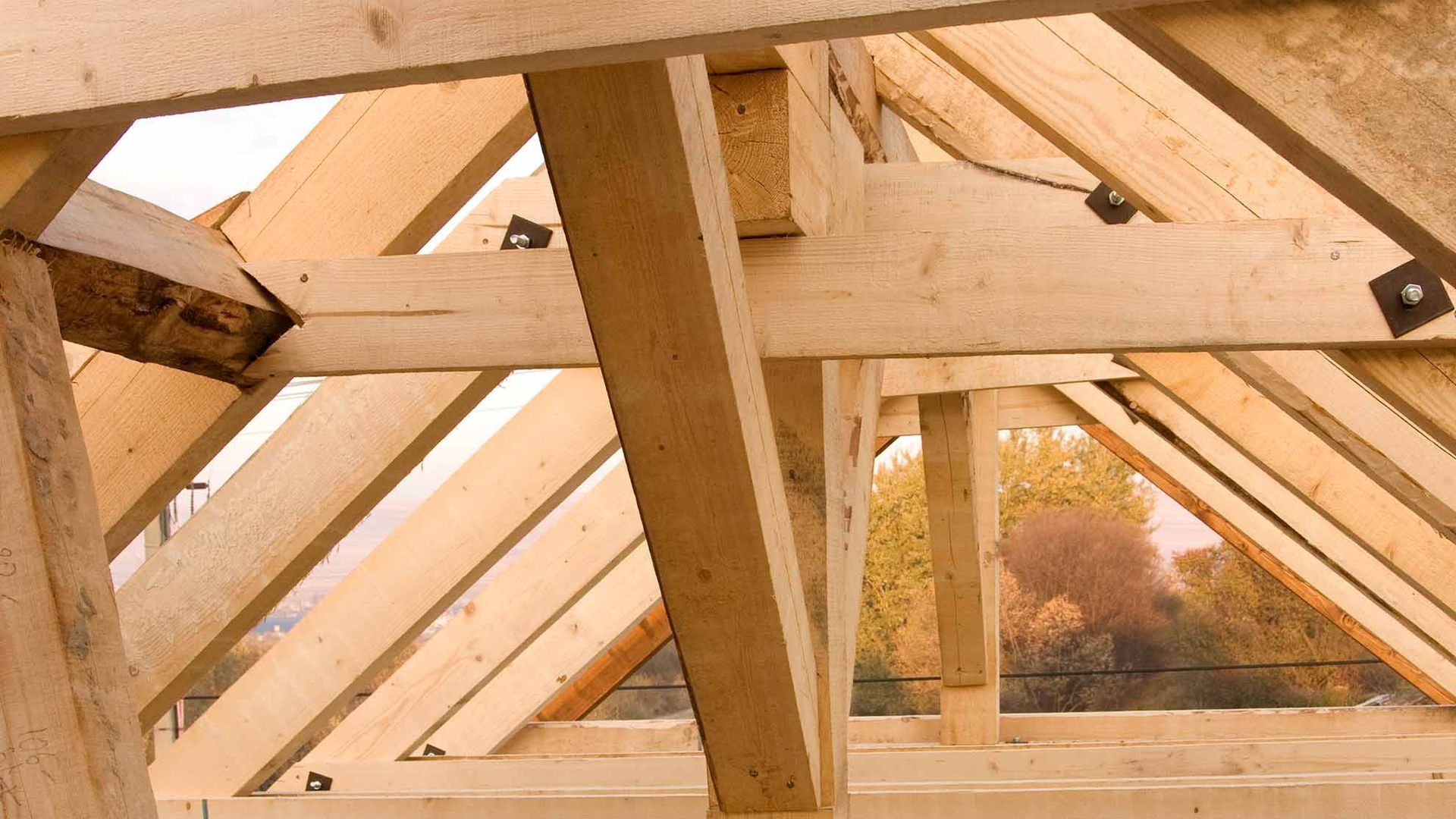 Hölzerne Dachstühle und Balken in einem unfertigen Dachboden, durch dessen Konstruktion Herbstbäume sichtbar sind.