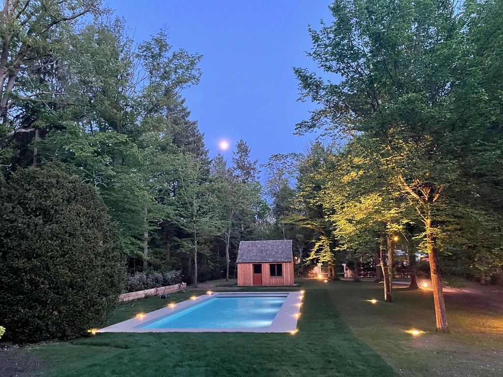Piscine entourée d'arbres