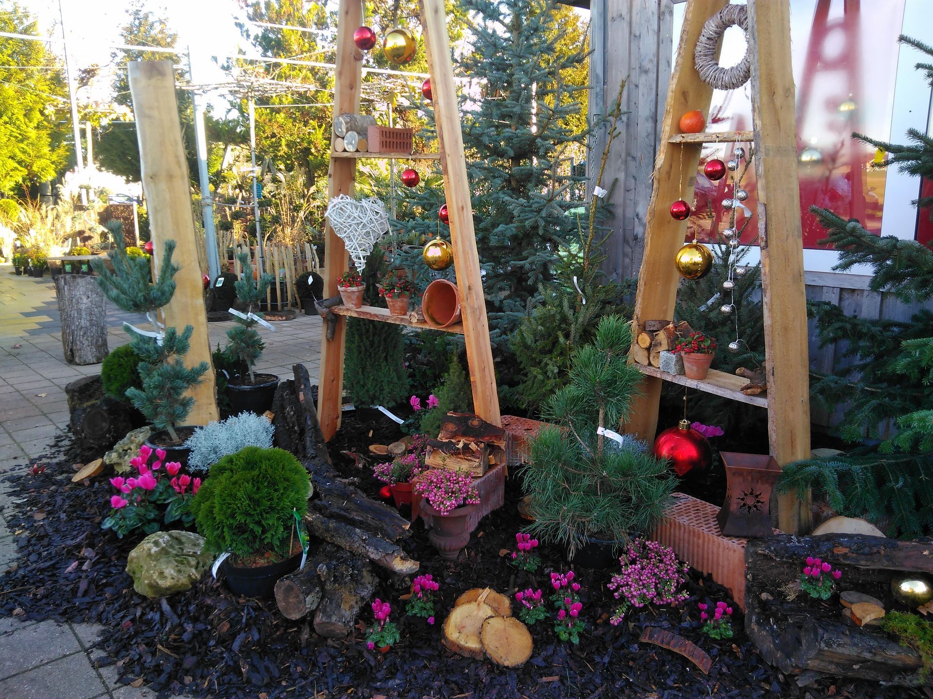 Weihnachtsdekoration mit Pflanzen, Ornamenten und einer Holzkonstruktion im Freien.