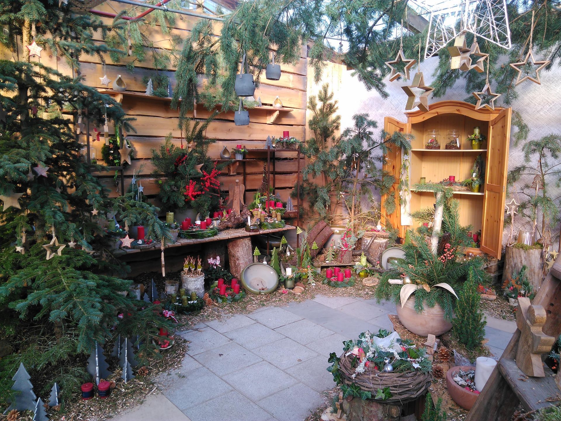 Weihnachtsdekoration: Holzregale, Grünpflanzen, rote Weihnachtssterne, eine Steinterrasse und dekorative Akzente schaffen eine festliche, gemütliche Atmosphäre.