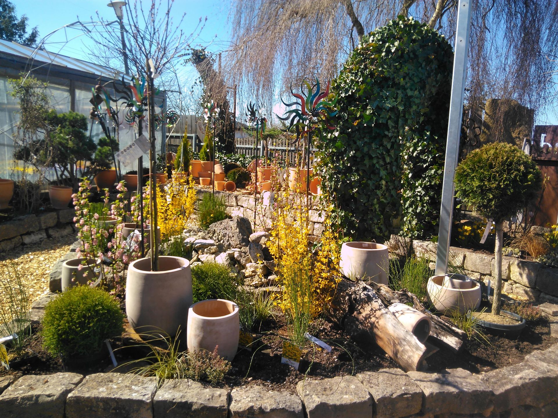 Ein angelegtes Gartenbeet mit Topfpflanzen, Steinrändern und verschiedenen Blättern unter einem sonnigen Himmel.