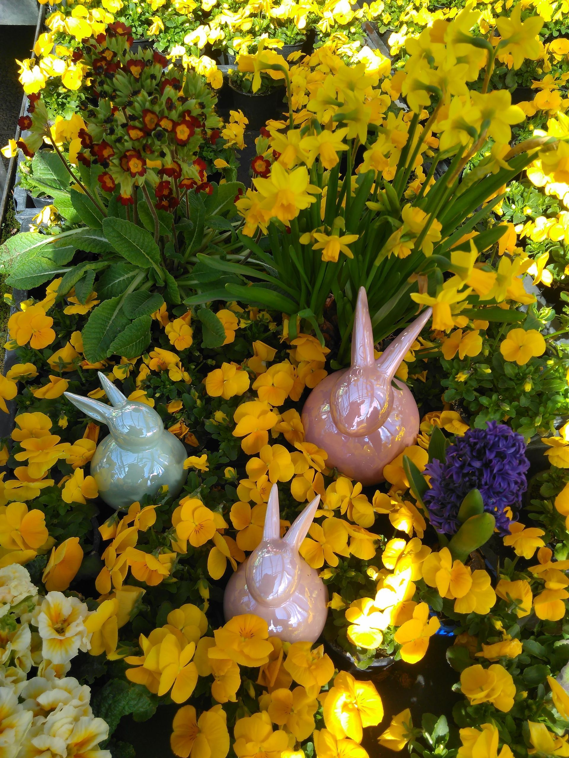 Drei Keramik-Osterhasen eingebettet in gelbe Frühlingsblumen.