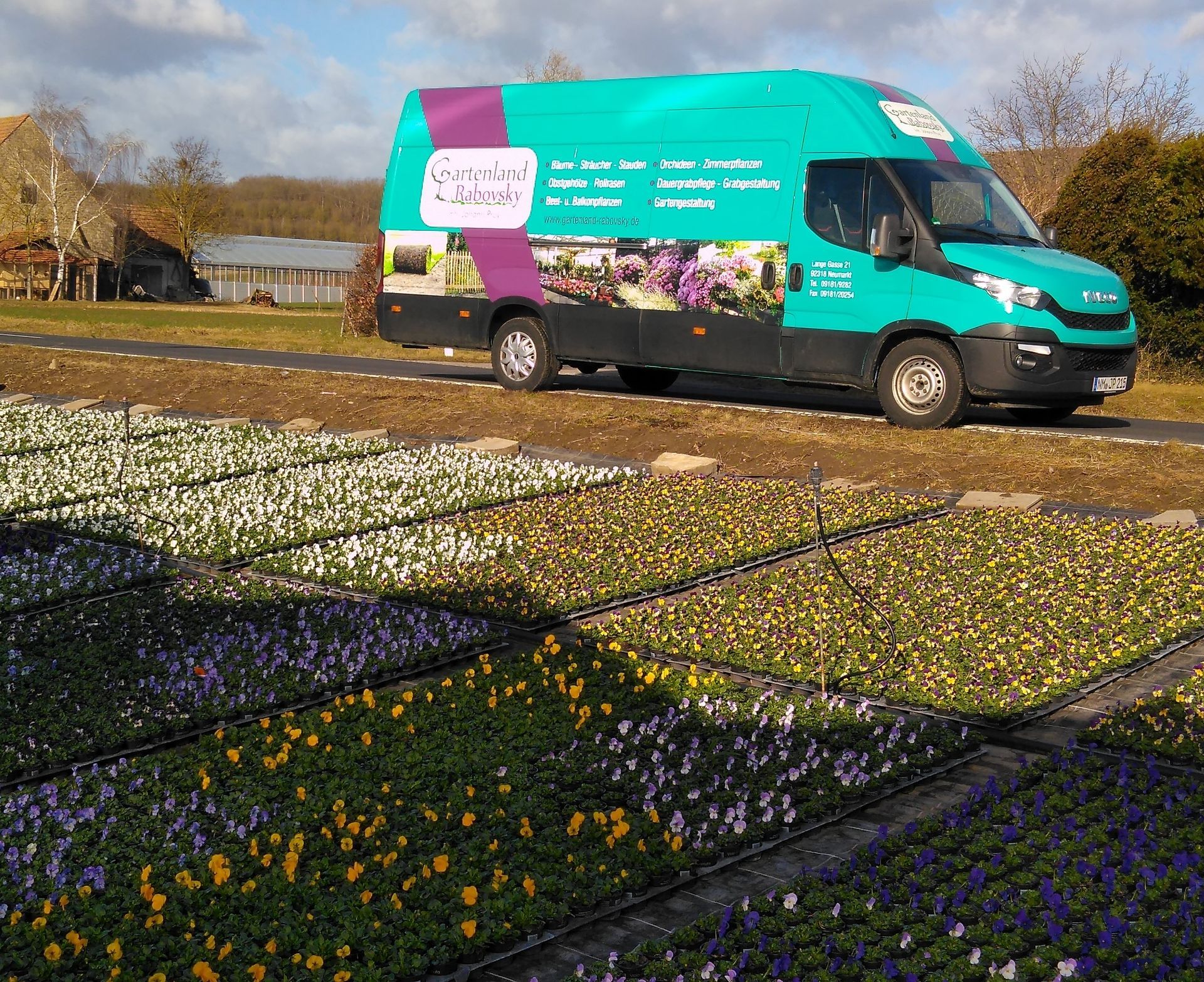Lieferwagen mit Blumenmuster in der Nähe von Blumenbeeten geparkt; Felder mit verschiedenfarbigen Blumen.
