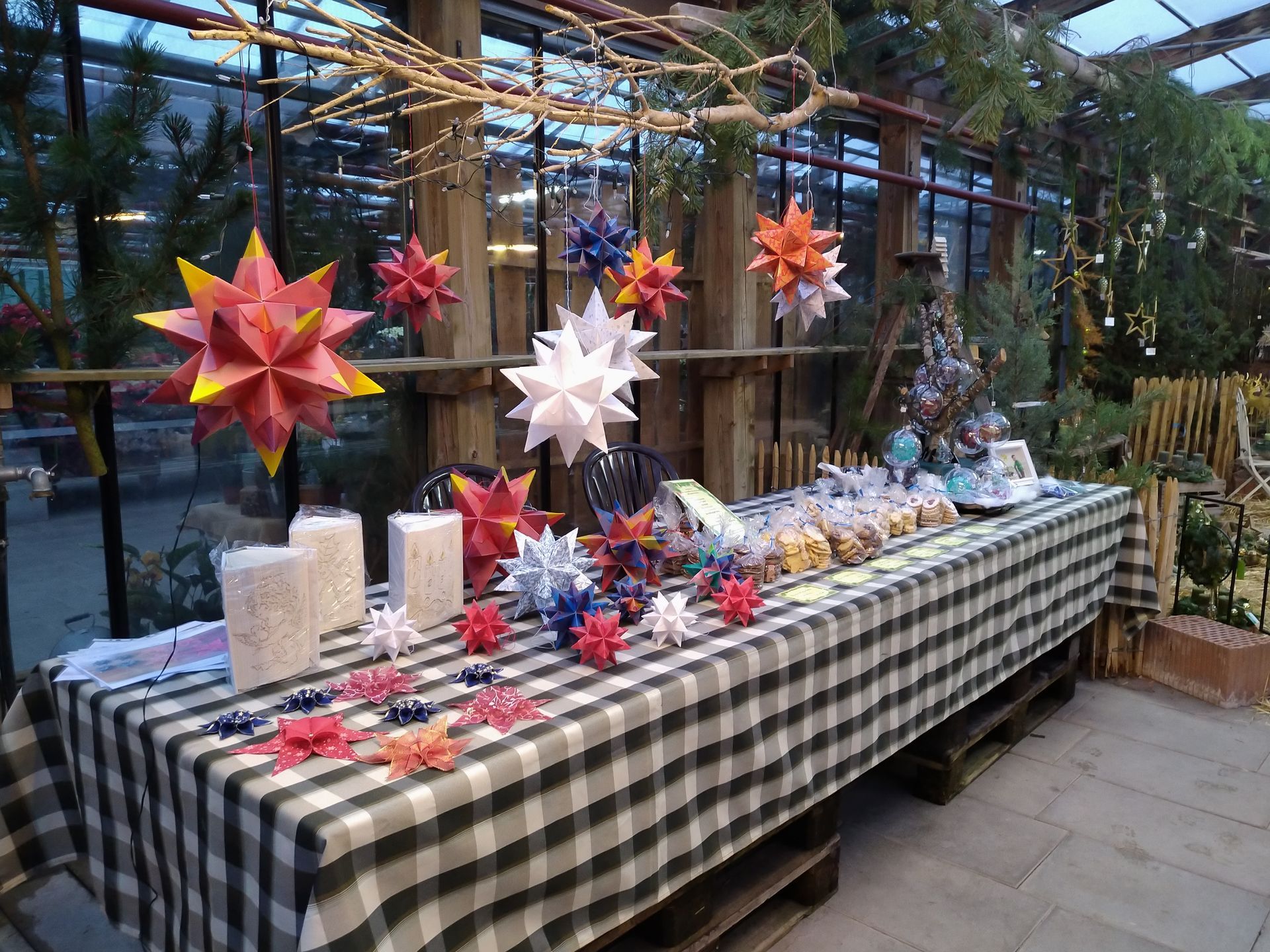 Weihnachtsdekoration: Bunte Papiersterne, Leckereien und Geschenke auf einem karierten Tisch in einem Gewächshaus.