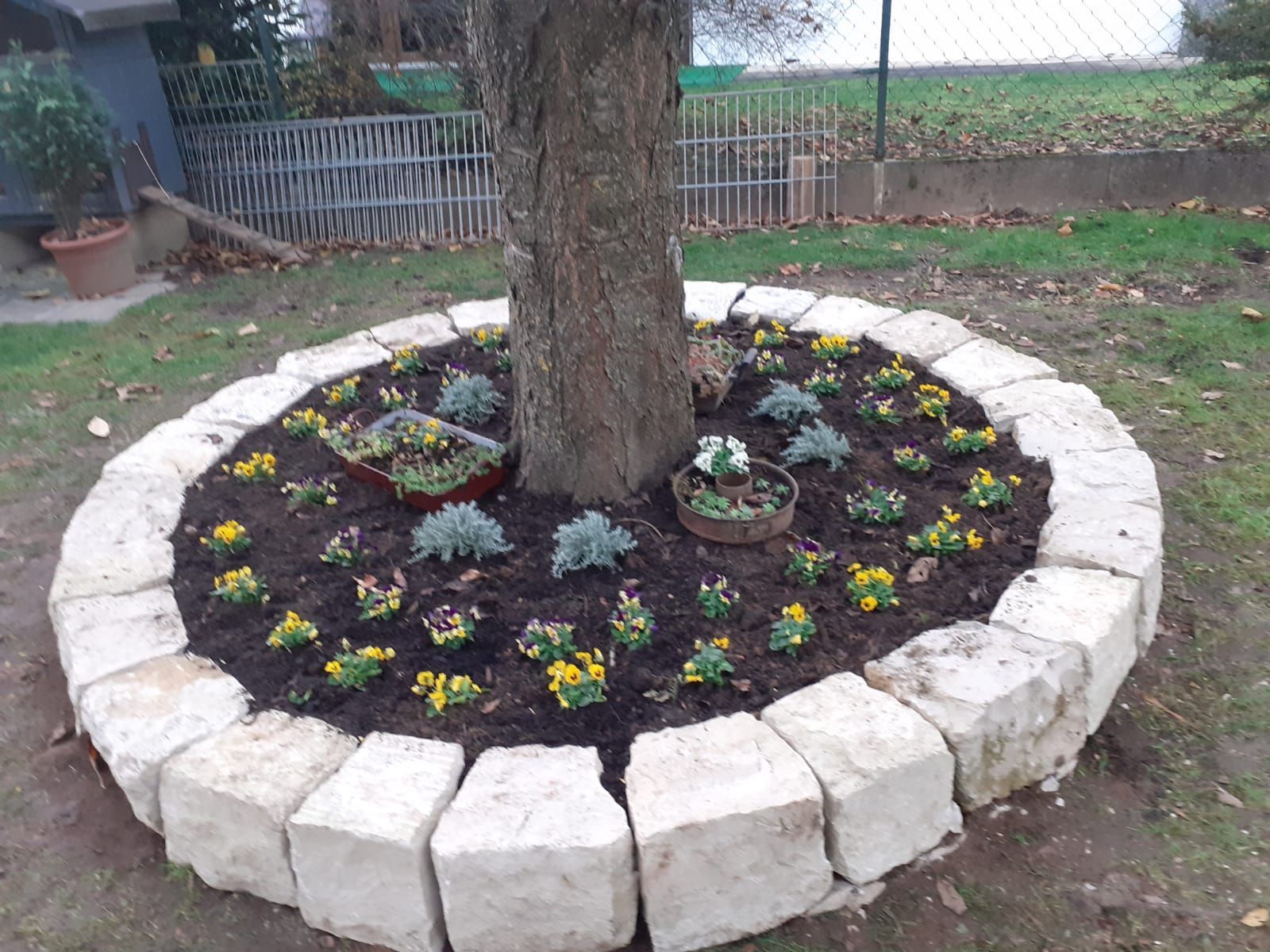 Mit Steinen umrandetes Gartenbeet um einen Baumstamm, bepflanzt mit bunten Blumen und Grünpflanzen.
