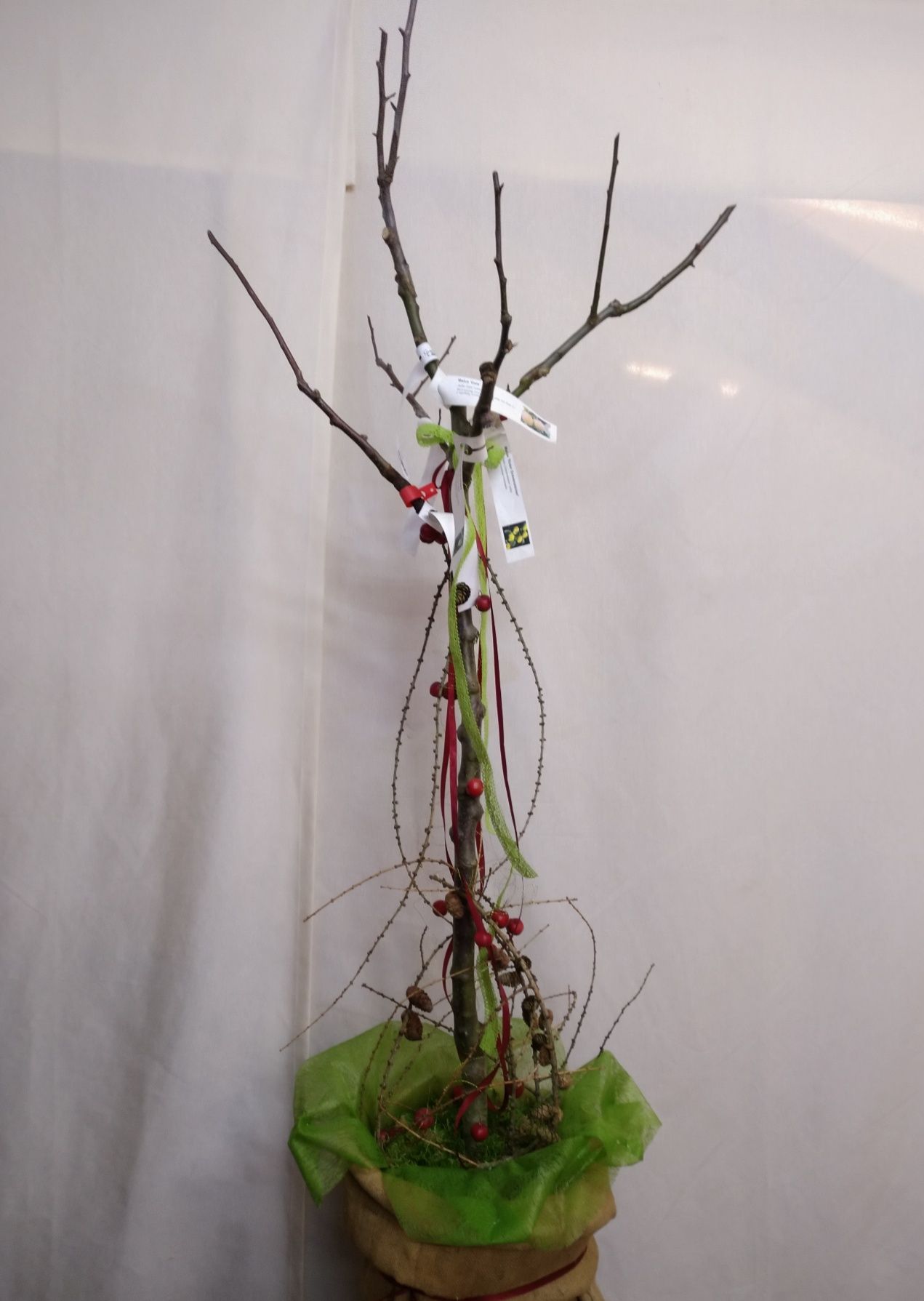 Mit Bändern und Ornamenten geschmückter Baum aus kahlen Zweigen in einem Holztopf.