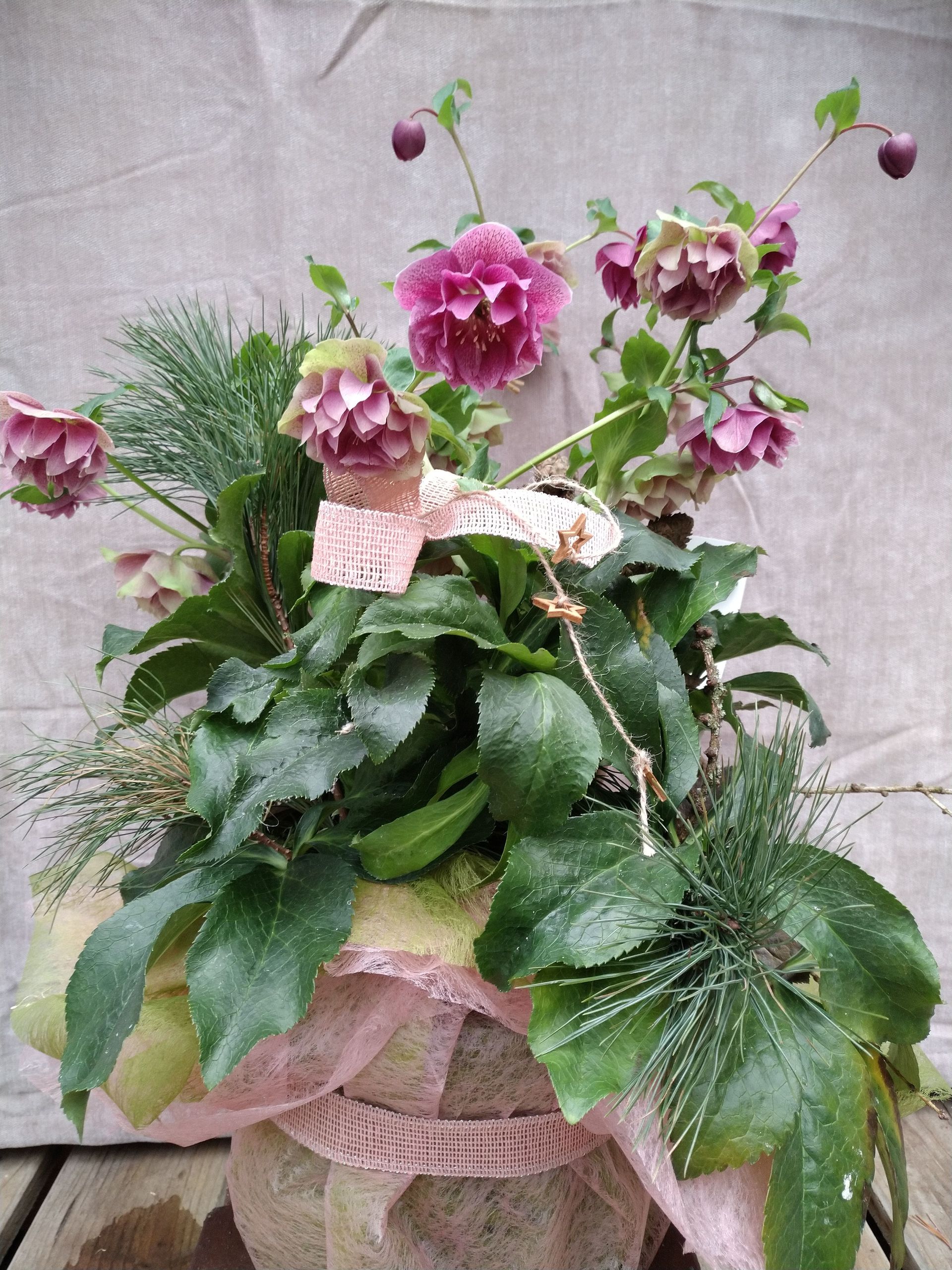 Arrangement aus lila Nieswurzblüten, Grünpflanzen und rosa Band auf einem Steinsockel.