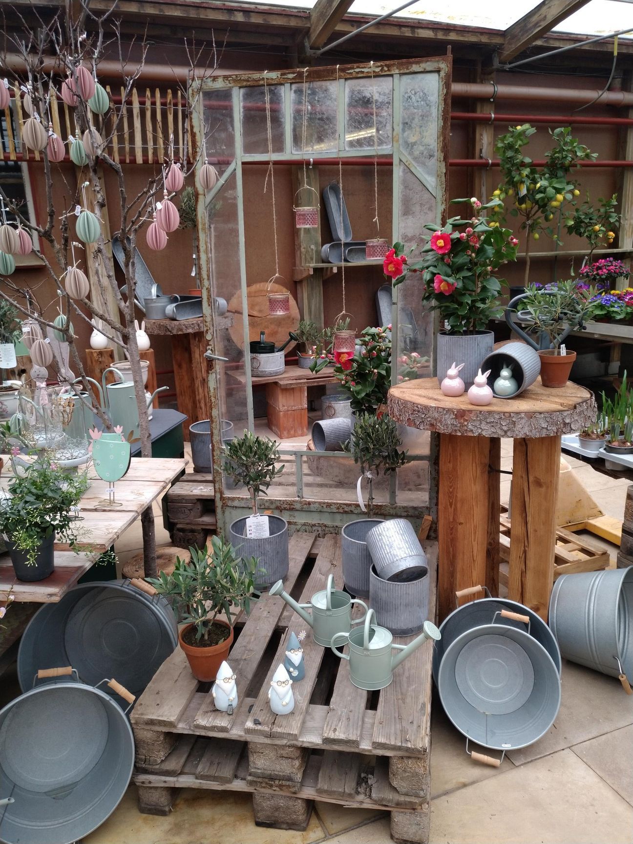 Eine Gartencenter-Ausstellung mit Pflanzen, Gießkannen und Dekorationsartikeln.