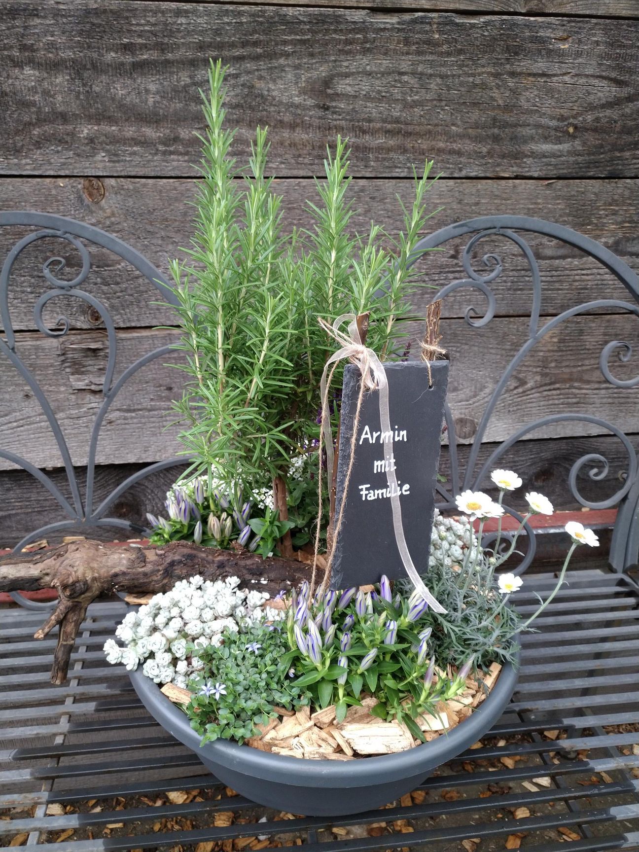 Grauer Blumentopf mit Rosmarin, Blumen und einem Schild auf einer Bank.