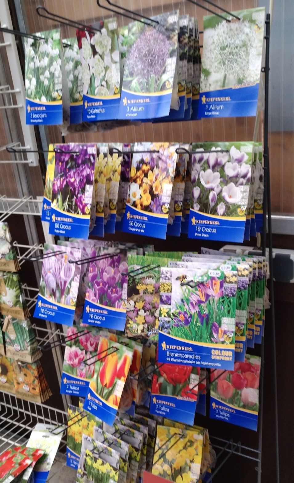 Regale mit Paketen voller Blumenzwiebeln, darunter Tulpen, Hyazinthen und Lilien.