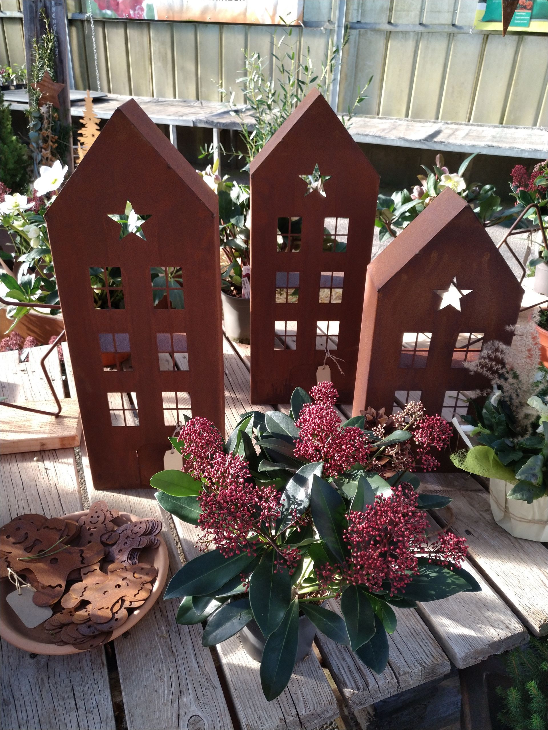 Drei rostige Metallhausausschnitte mit sternförmigen und quadratischen Fenstern, in der Nähe einer roten Beerenpflanze.