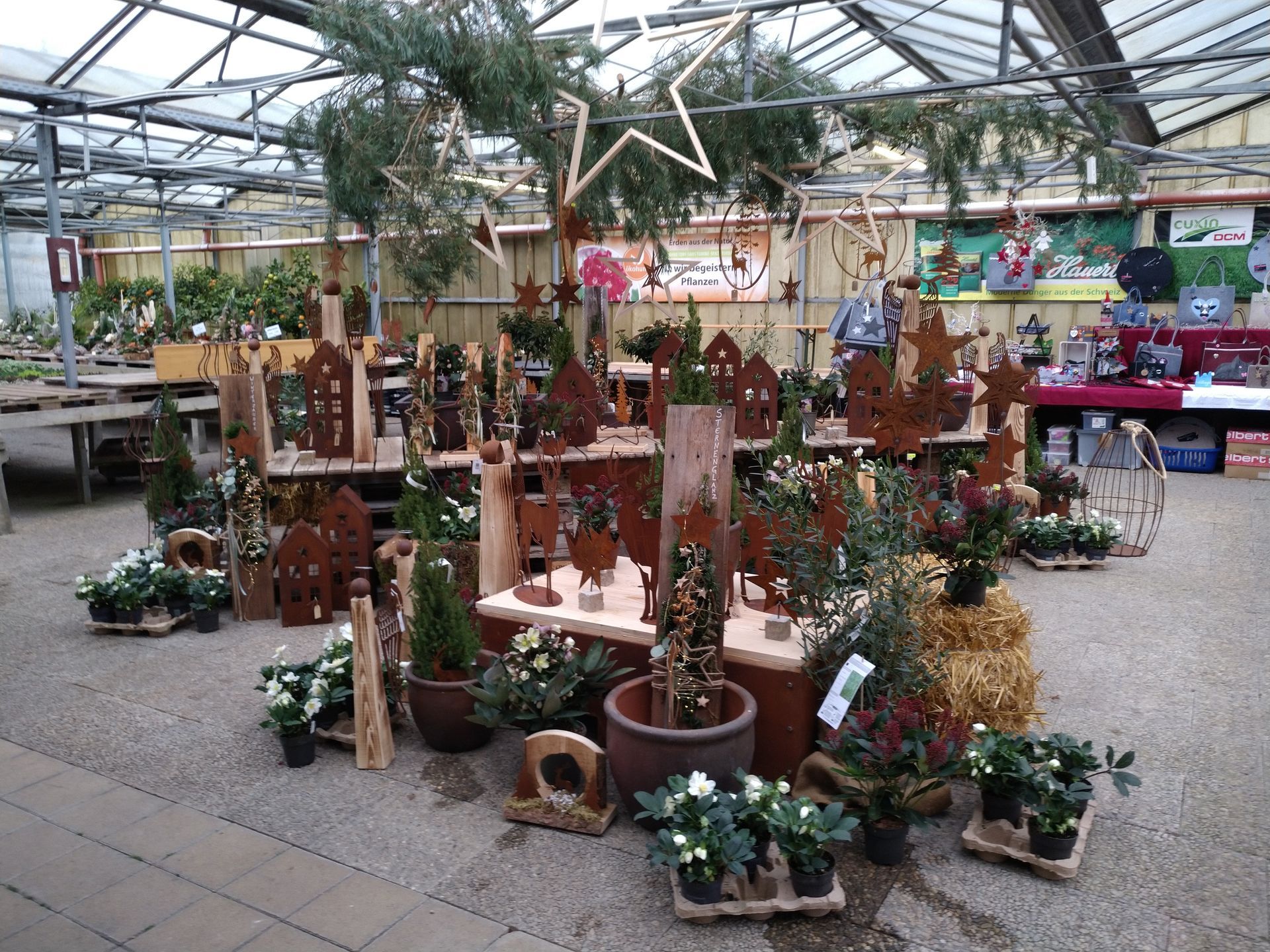 Eine Gewächshausausstellung mit Weihnachtsdekorationen, darunter Metallkunst, Pflanzen und ein Stern, auf einem Kiesboden.