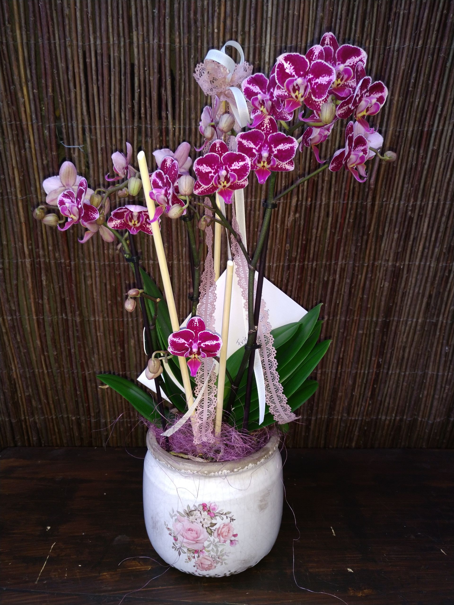 Topforchideen mit leuchtend violetten und weißen Blüten in einem dekorativen Topf.