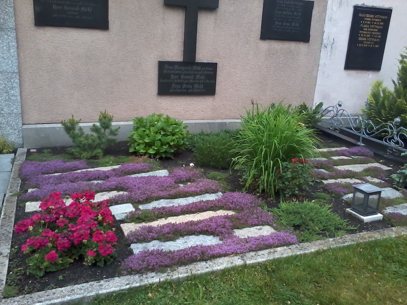 Grab mit lila Blumen, Steinweg und Grün. Vor einer hellrosa Wand mit Gedenktafeln und einem schwarzen Kreuz.